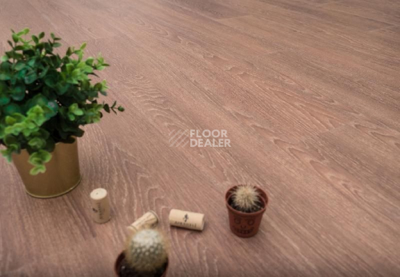 Кварцвиниловые полы Ecoclick Wood  клеевой 2.3мм NOX-1714 Дуб Арагон фото 1 | FLOORDEALER